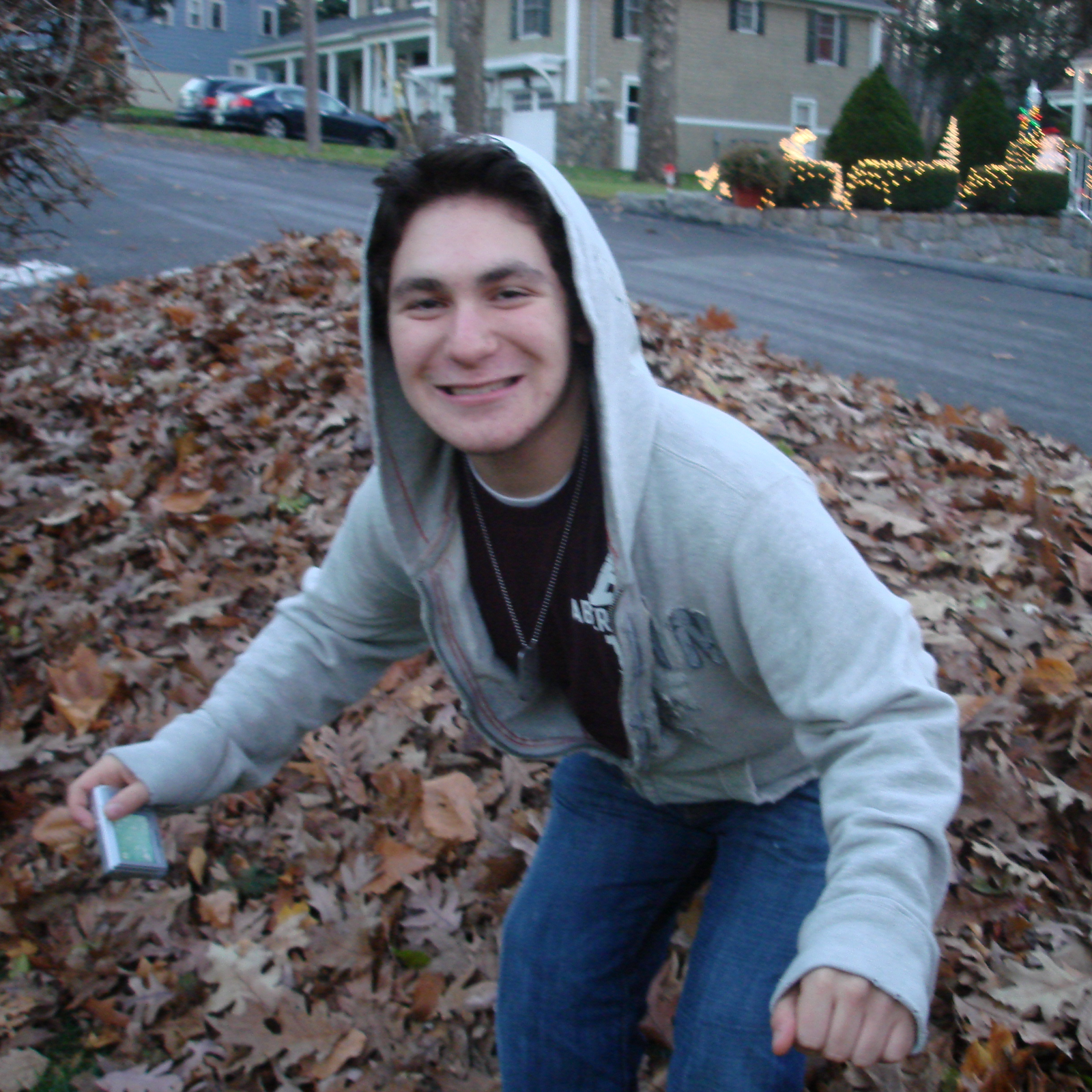 David in leaves